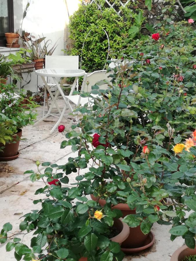 B&B Le Ortensie Castagnole Exterior foto